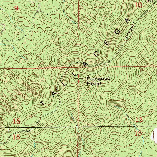 Topographic Map of Burgess Point, AL