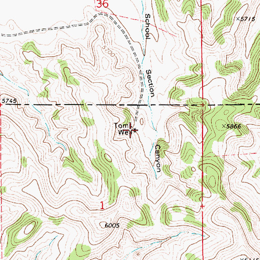 Topographic Map of Toms Well, WY