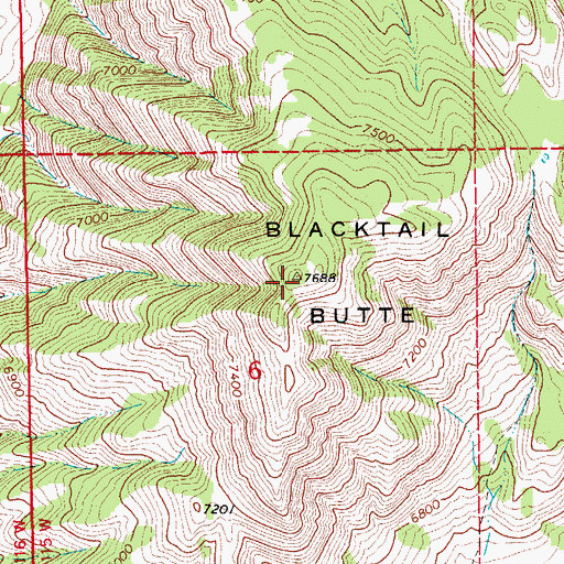 Topographic Map of Blacktail Butte, WY