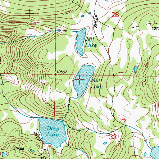 Topographic Map of Mutt Lake, WY