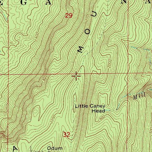 Topographic Map of Odum Trail, AL