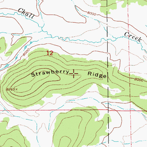 Topographic Map of Strawberry Ridge, WY
