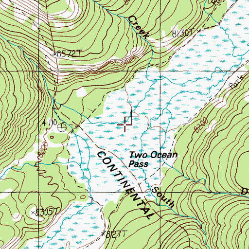 Topographic Map of Two Ocean Pass, WY