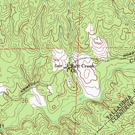 Topographic Map of Salt Creek Church, AL