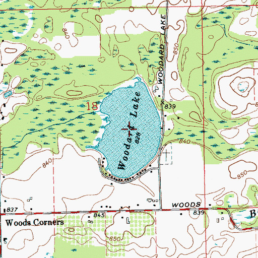 Topographic Map of Woodard Lake, MI