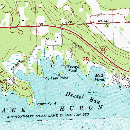 Topographic Map of Osogwin Point, MI