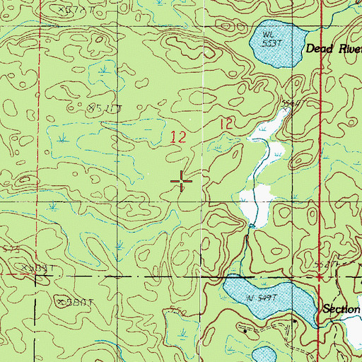 Topographic Map of Township of Michigamme, MI