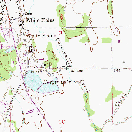 Topographic Map of East Cottaquilla Springs, AL