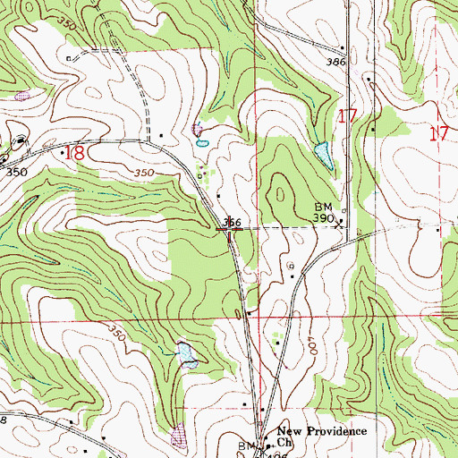 Topographic Map of New Providence Church, AL