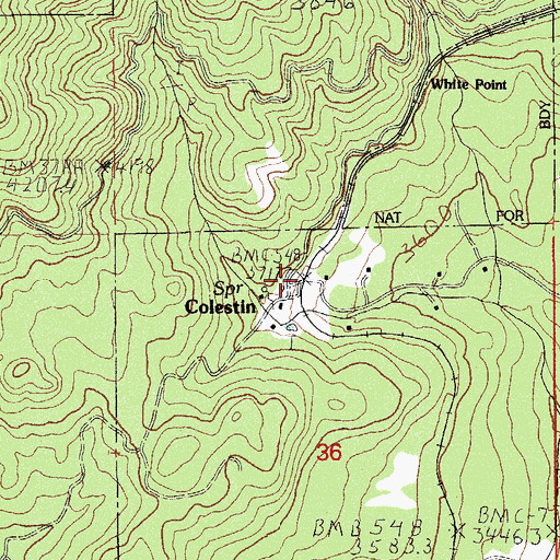 Topographic Map of Colestin, OR