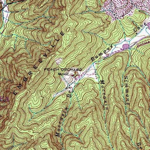 Topographic Map of Peach Orchard Mine, TN