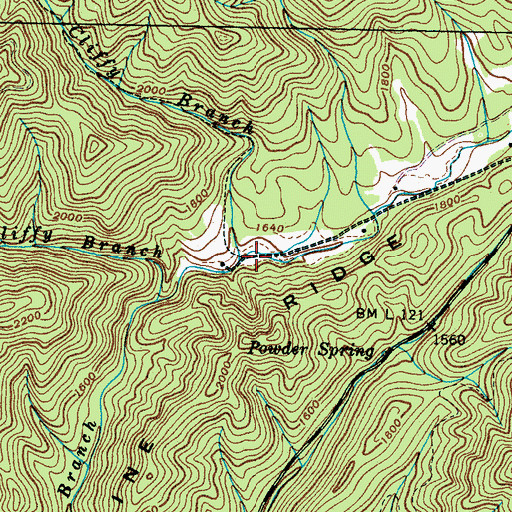 Topographic Map of Little Cliffy Branch, TN