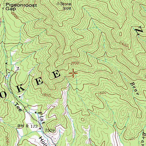 Topographic Map of Beetree Knob Prospect, TN