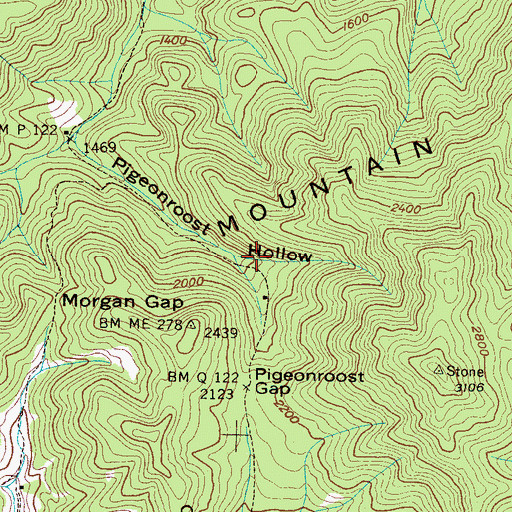 Topographic Map of White Rock Hollow, TN