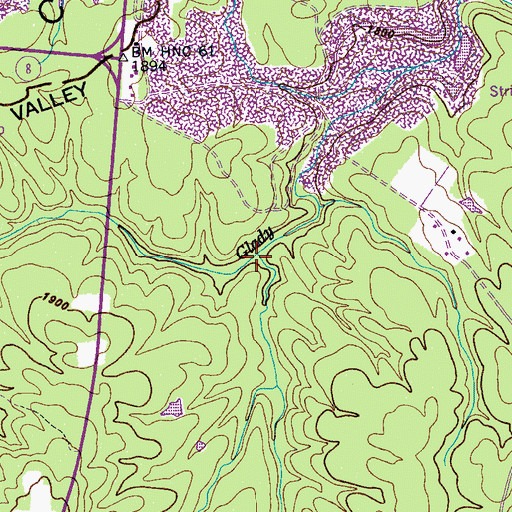 Topographic Map of Bird Fork, TN