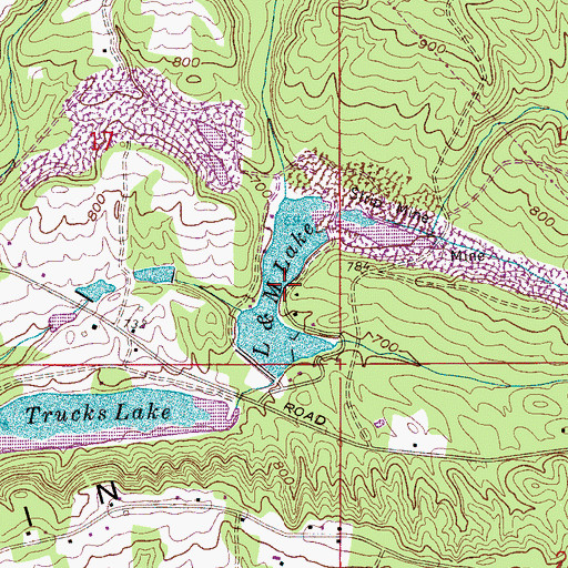 Topographic Map of L and M Lake, AL