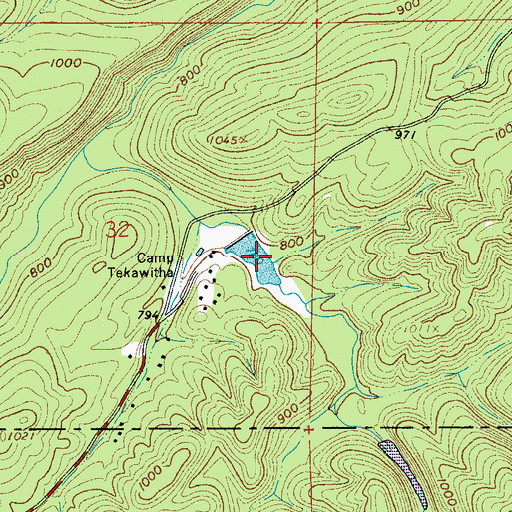 Topographic Map of Tekawitha Lake, AL