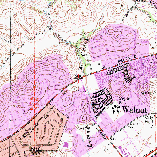 Topographic Map of Walnut, CA