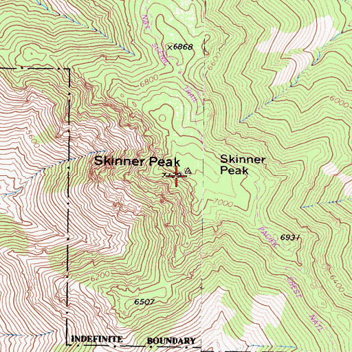 Topographic Map of Skinner Peak, CA