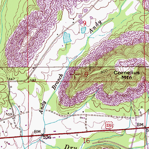 Topographic Map of Cleveland Division, AL