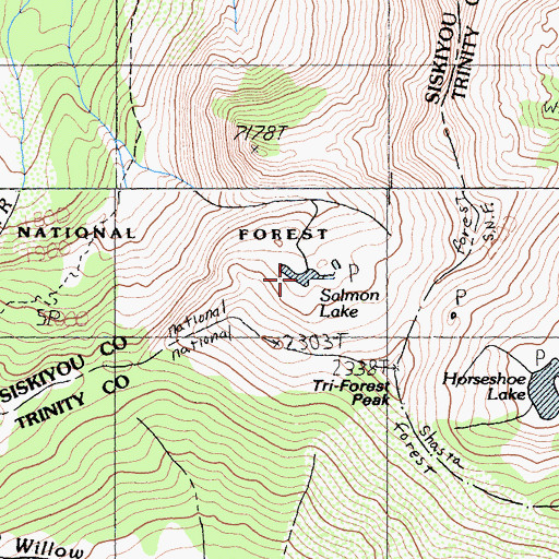 Topographic Map of Salmon Lake, CA