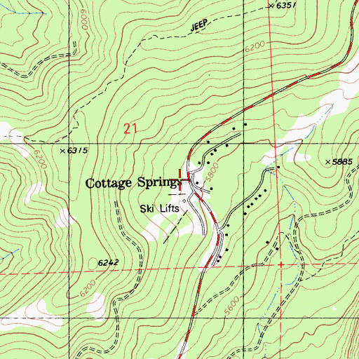 Topographic Map of Cottage Springs, CA