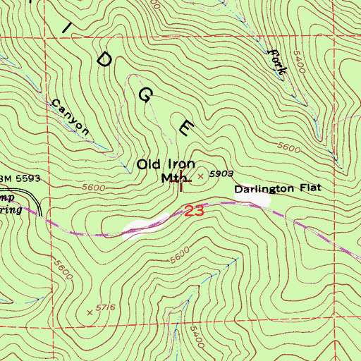 Topographic Map of Old Iron Mountain, CA