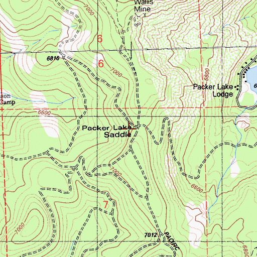 Topographic Map of Packer Lake Saddle, CA