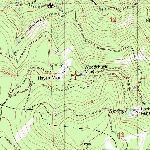 Topographic Map of Woodchuck Mine, CA