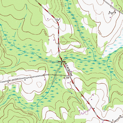 Topographic Map of Tussahaw Branch, GA
