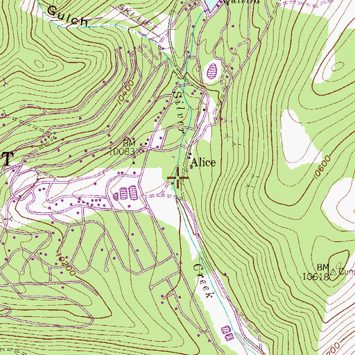 Topographic Map of Nettie B. Mine, CO