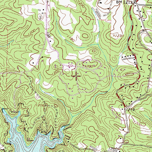 Topographic Map of Springdale Forest, GA
