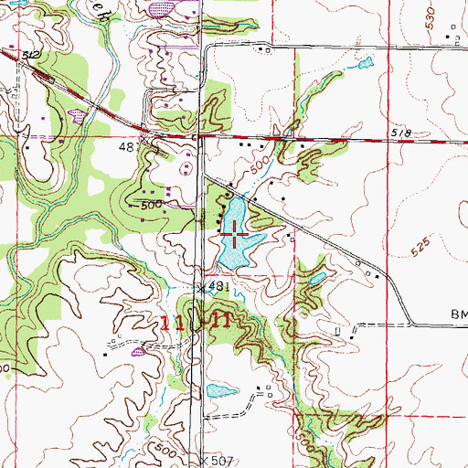 Topographic Map of Klaus Lake, IL