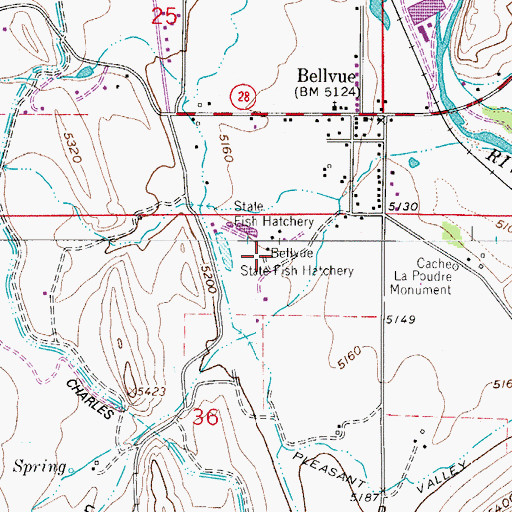 Topographic Map of Bellvue State Fish Hatchery, CO