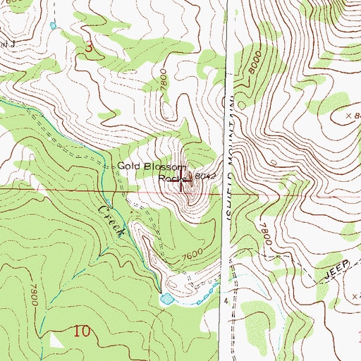 Topographic Map of Gold Blossom Rocks, CO
