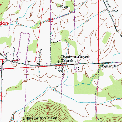 Topographic Map of Chestnut Grove School (historical), AL