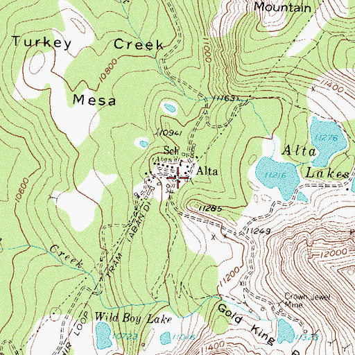 Topographic Map of Alta Mine, CO