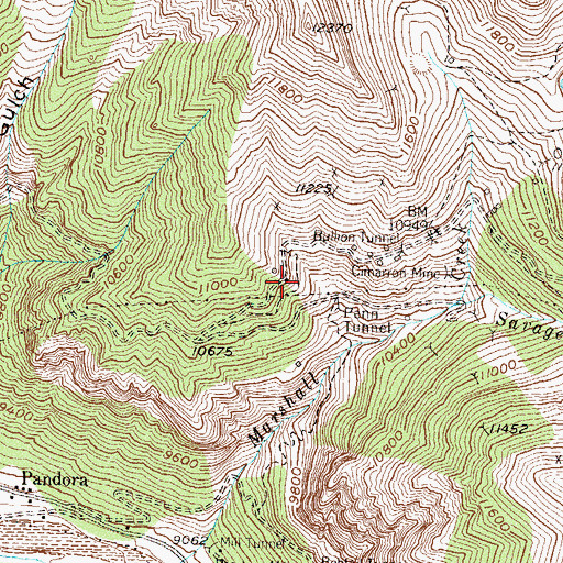 Topographic Map of Shamrock Mine, CO