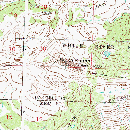 Topographic Map of South Mamm Peak, CO