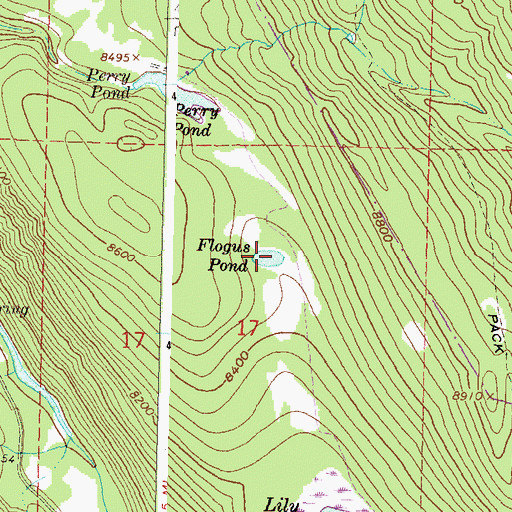 Topographic Map of Flogus Pond, CO