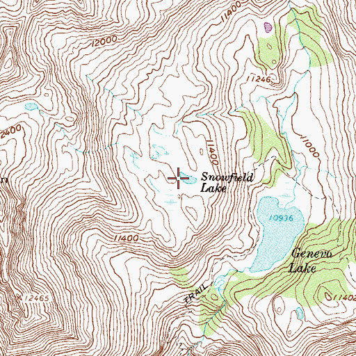 Topographic Map of Snowfield Lake, CO