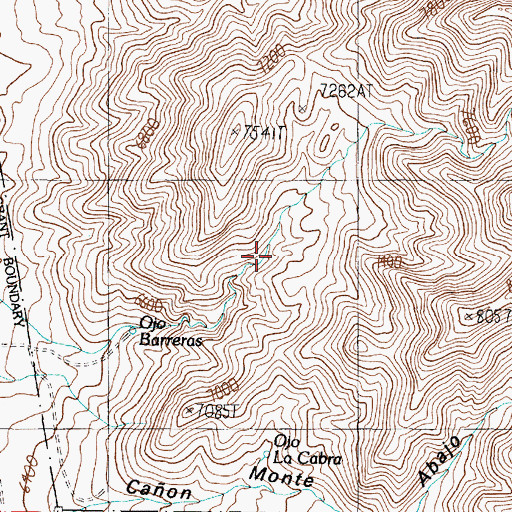 Topographic Map of Upper Ojo Barreras Spring, NM