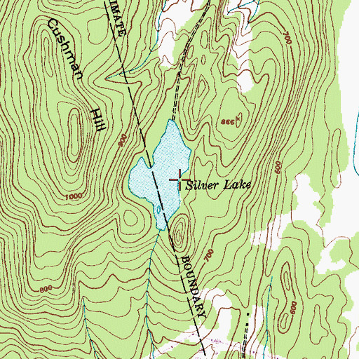 Topographic Map of Silver Lake Dam, VT