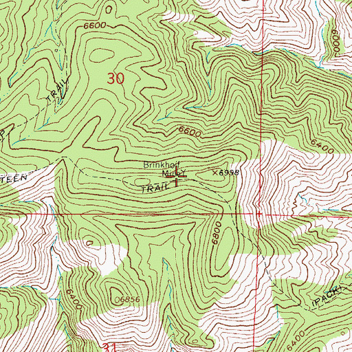 Topographic Map of Brinkhoff Mine, CO