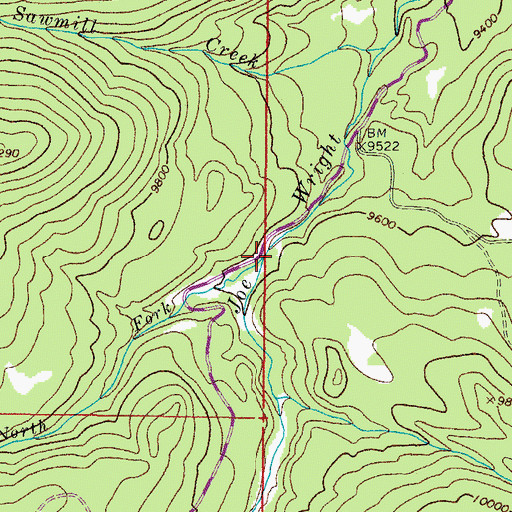Topographic Map of North Fork Joe Wright Creek, CO