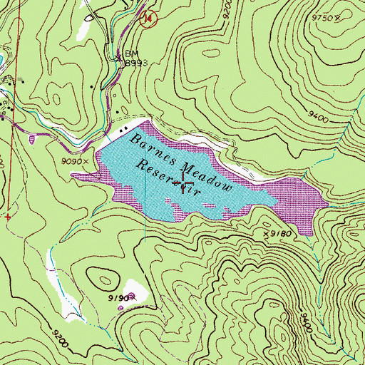 Topographic Map of Barnes Meadow Reservoir, CO