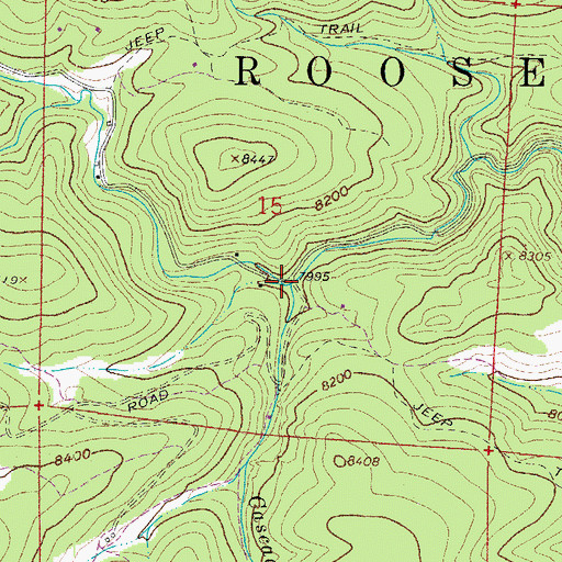 Topographic Map of Cascade Creek, CO