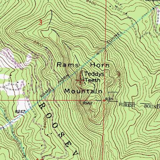 Topographic Map of Teddys Teeth, CO