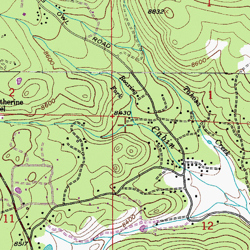 Topographic Map of Roaring Fork, CO