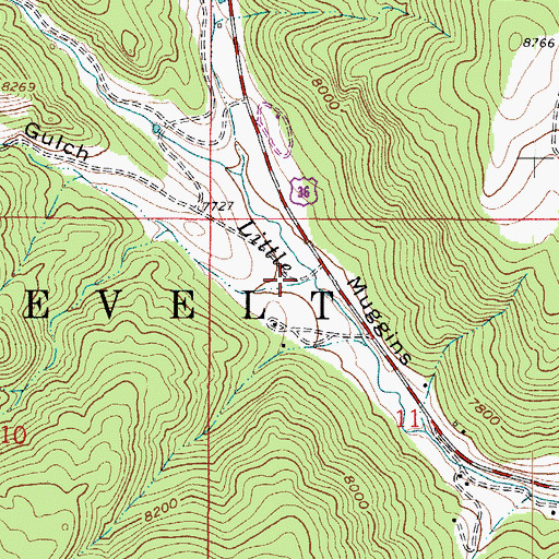 Topographic Map of Grizzly Gulch, CO